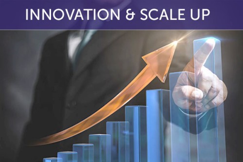 INNOVATION & SCALE UP